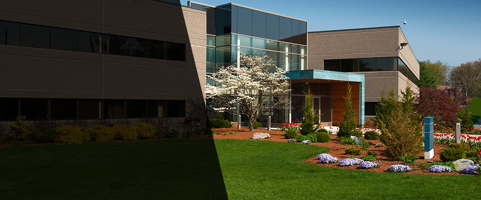 Gulf Shores Landscapers