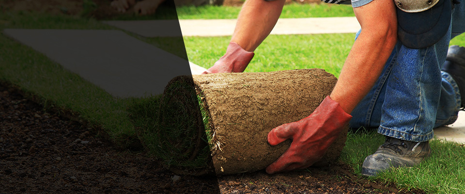 Gulf Shores Landscapers